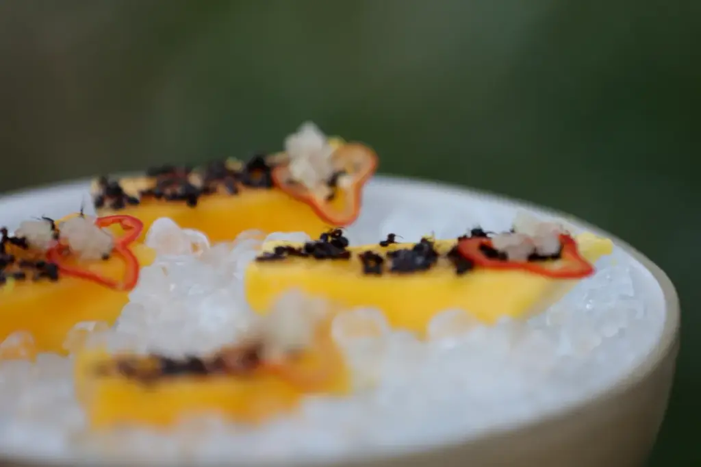 LOS ANGELES, CALIFORNIA - JULY 19: Valencia Mango is served as Audi brings world-renowned restaurant Noma to Los Angeles on July 19, 2022 in Los Angeles, California. (Photo by Stefanie Keenan/Getty Images for Audi)