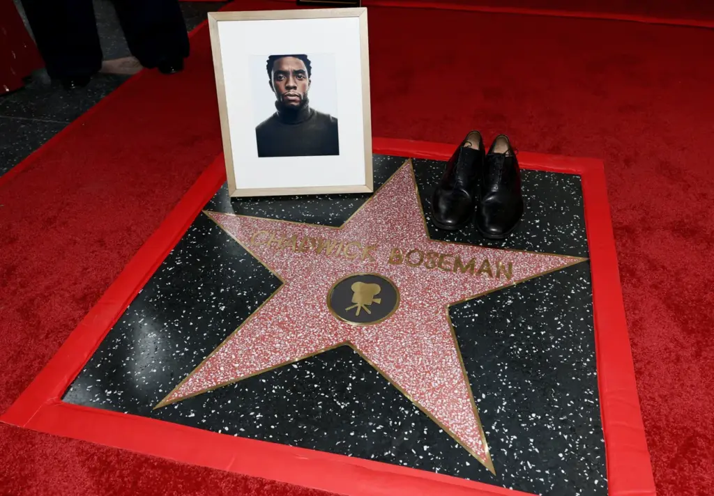 Actor Chadwick Boseman Honored With A Posthumous Star On The Hollywood Walk Of Fame HOLLYWOOD, CALIFORNIA - NOVEMBER 20: Chadwick Boseman's star is seen as Actor Chadwick Boseman is honored with a Posthumous Star on the Hollywood Walk of Fame on November 20, 2025 in Hollywood, California. (Photo by Matt Winkelmeyer/Getty Images)