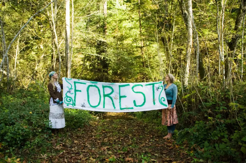 forest-1.jpg